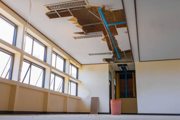 Best Water damage cleanup near me  in Robins Af, GA