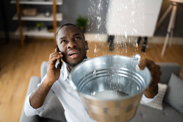 Best Ceiling water damage repair  in Robins Af, GA
