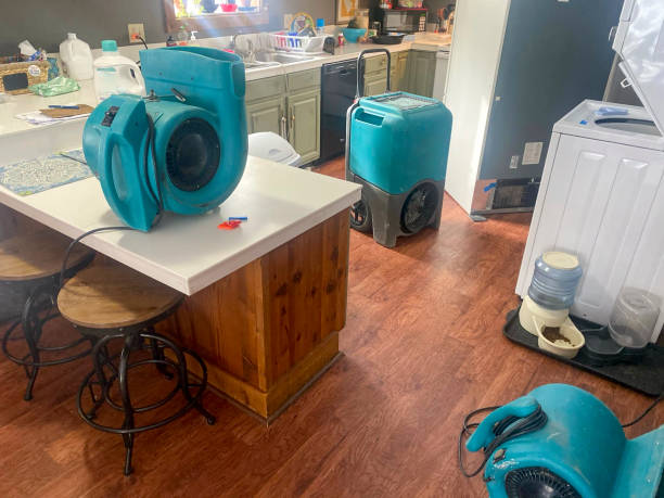 Best Water damage restoration near me  in Robins Af, GA