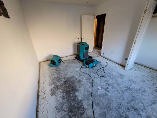 Best 24-hour water damage restoration  in Robins Af, GA