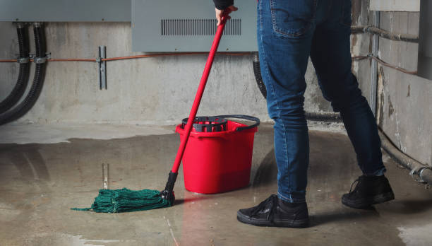 Best Residential water damage restoration  in Robins Af, GA