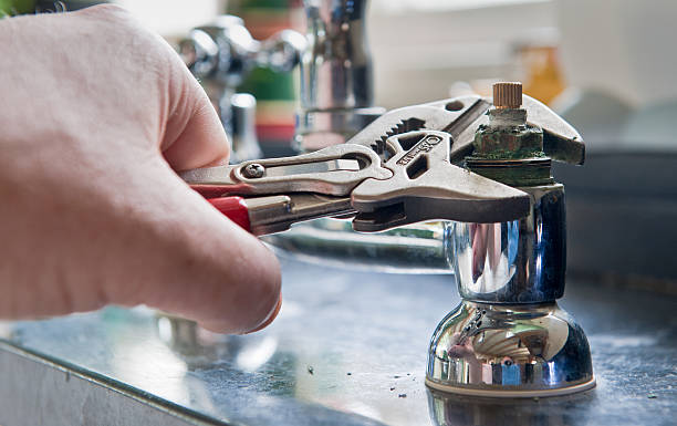 Best Mold removal after water damage  in Robins Af, GA
