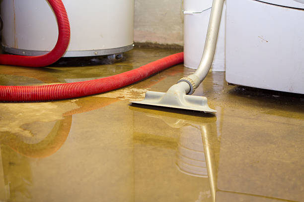 Best Local water damage restoration  in Robins Af, GA