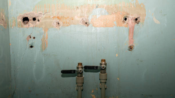 Best 24/7 water damage repair  in Robins Af, GA