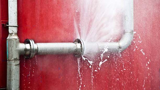 Best Flooded house restoration  in Robins Af, GA